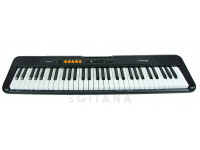 Casio CT-S100 Casio CT-S100